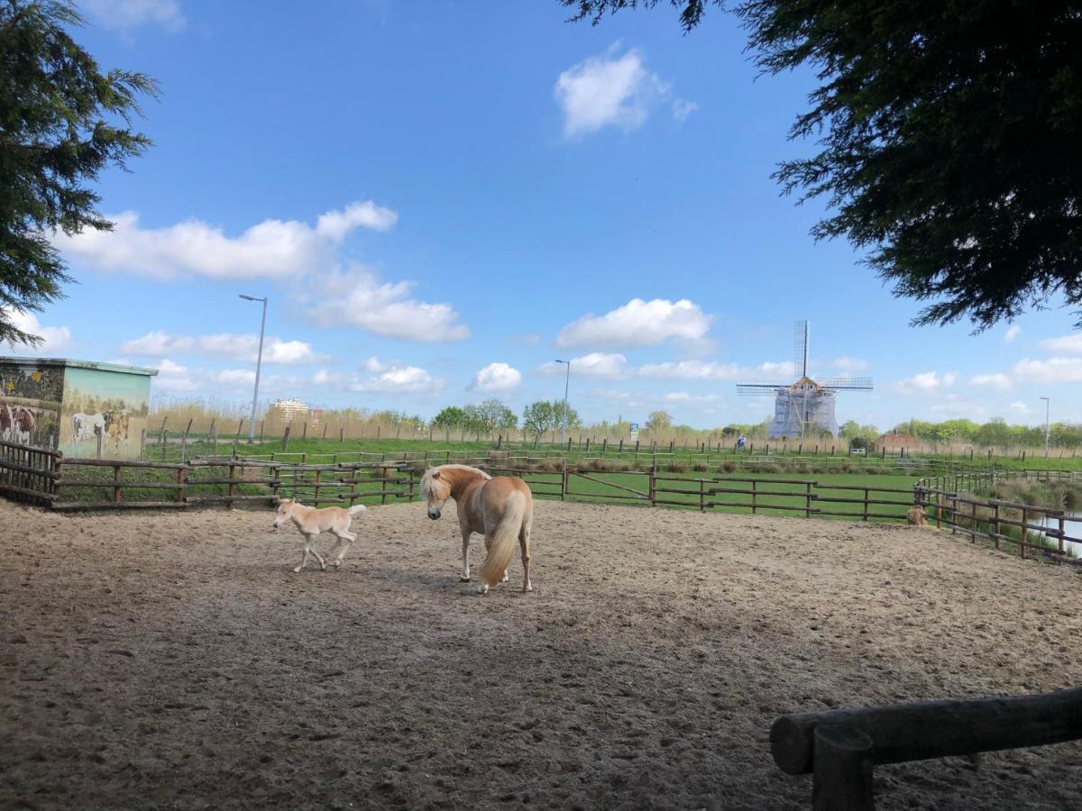 Chalet Aan De Rotte Rotterdam Kültér fotó