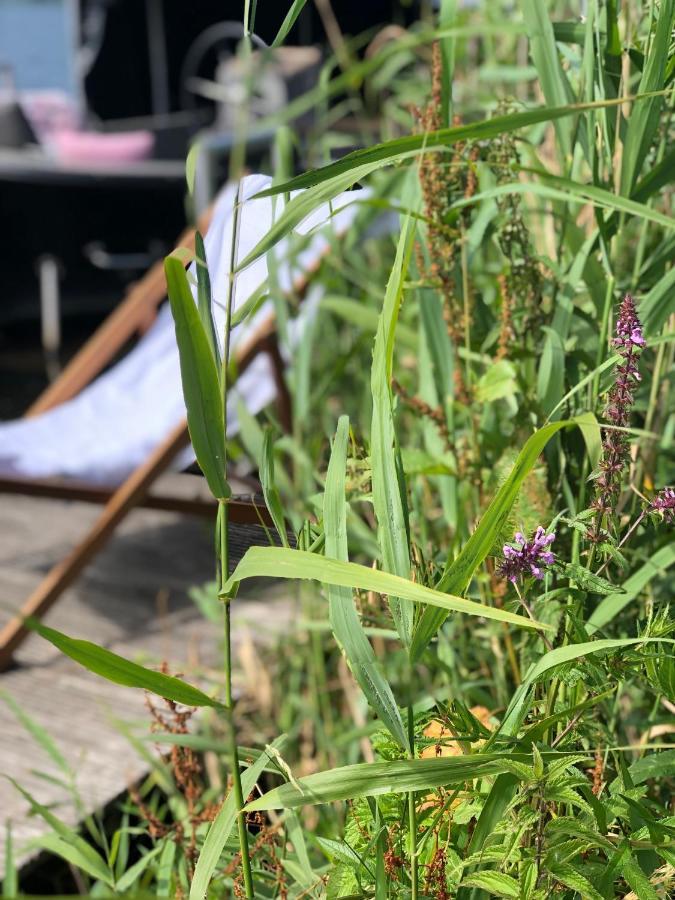 Chalet Aan De Rotte Rotterdam Kültér fotó